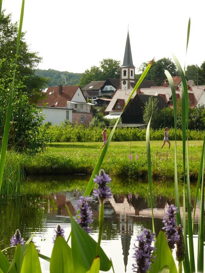 Blick Zum Maimont Hotel Ludwigswinkel Kültér fotó