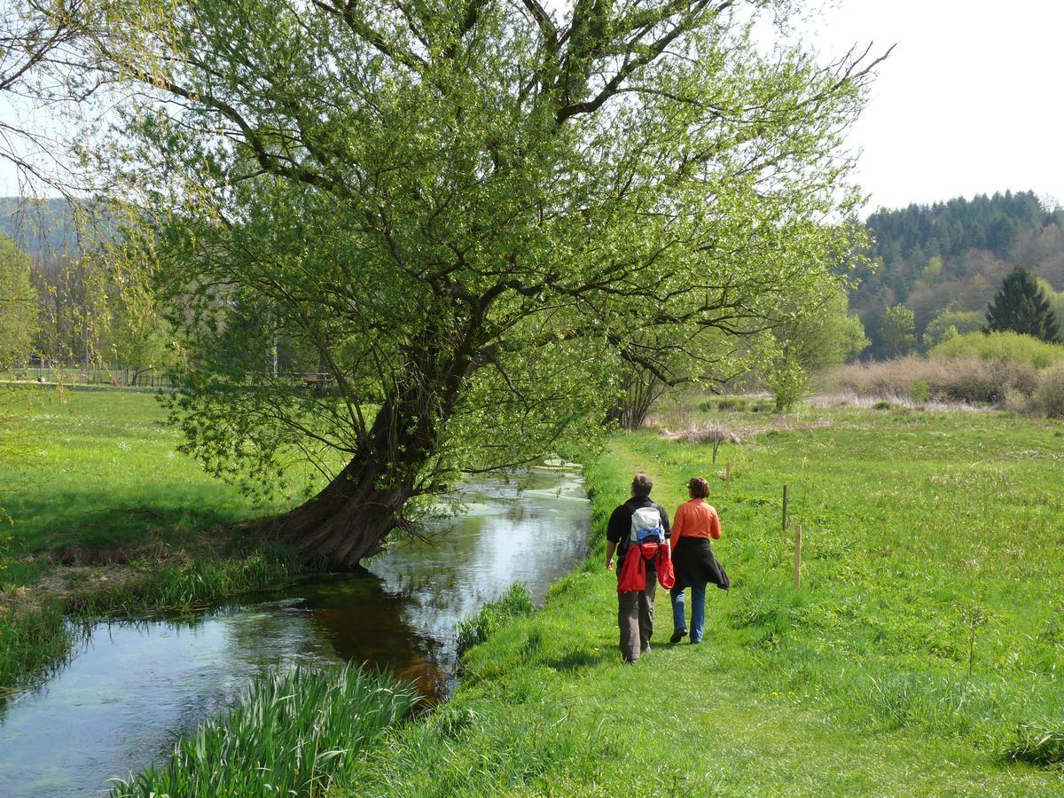 Blick Zum Maimont Hotel Ludwigswinkel Kültér fotó