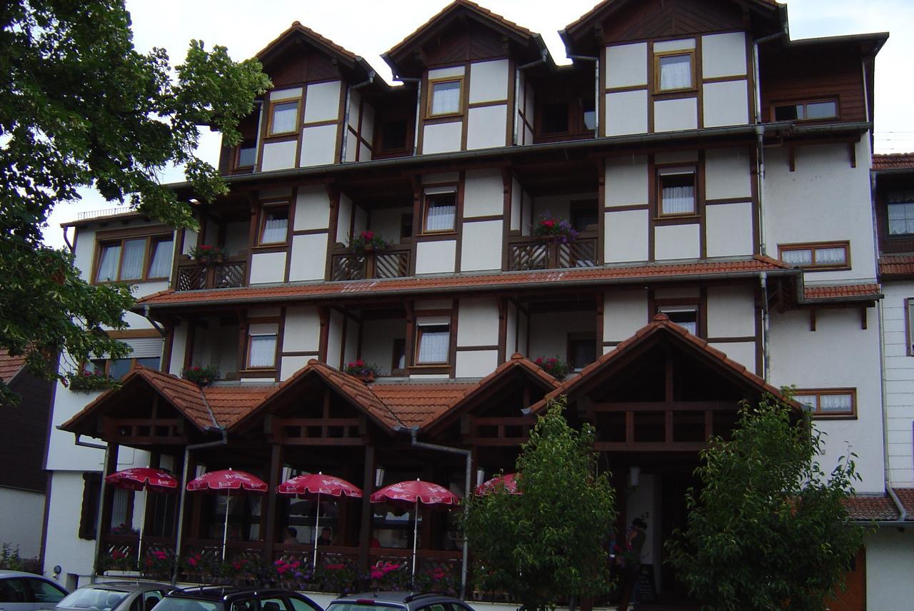 Blick Zum Maimont Hotel Ludwigswinkel Kültér fotó